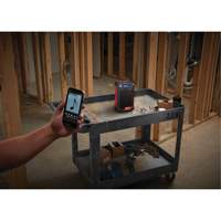 M12 Radio & Charger (Tool Only), Lithium-Ion, 12 V Distribution Jean Lapalme