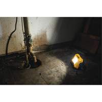 Lampe d'&eacute;clairage direct compact 12V/20V Max, DEL, 2000 Lumens Distribution Jean Lapalme