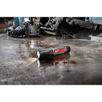USB Compatible Compact Flashlight, LED, 800 Lumens, Rechargeable Batteries Distribution Jean Lapalme