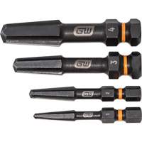 Bolt Biter Screw Extractor Set, High Speed Steel, 4 Pieces Distribution Jean Lapalme