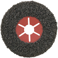 PowerFlex Semi-Flexible Disc, 5" x 7/8" Arbor, Silicon Carbide, Type 29 Distribution Jean Lapalme