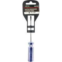 Blue Transparent Striped Slotted Screwdriver, 1/8" Tip, Round, Plastic Handle Distribution Jean Lapalme