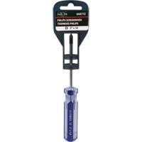Tournevis Philips bleu transparent avec bandes, #1, Prise Plastique Distribution Jean Lapalme
