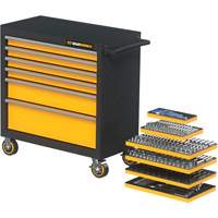 MEGAMOD Metric Mechanics Tool Set in Modular Foam Trays with Rolling Cabinet, 358 Pieces Distribution Jean Lapalme