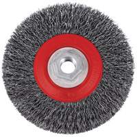 5C14T High Performance Crimped Wire Brush, 5" Dia., 0.014" Fill, 5/8"-11NC Arbor Distribution Jean Lapalme