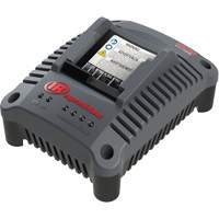 Chargeur de batterie compact IQV20, 20 V, Lithium-ion Distribution Jean Lapalme
