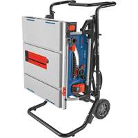 Jobsite Table Saw with Gravity-Rise Wheeled Stand, 120 V, 15 A, 3800 RPM Distribution Jean Lapalme
