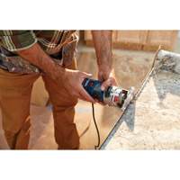 Colt Electronic Variable-Speed Palm Router Distribution Jean Lapalme