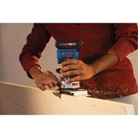 Brushless Colt Palm Router Distribution Jean Lapalme