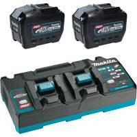 XGT Dual Port Rapid Charger Starter Kit with (2) 8 Ah Batteries, 40 V, Lithium-Ion Distribution Jean Lapalme