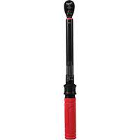 Cl&eacute; dynamom&eacute;trique, &agrave; cliquer, Entraînement 3/8" carr&eacute;, 20 - 100 lb-po/27,1 - 135,6 Nm Distribution Jean Lapalme