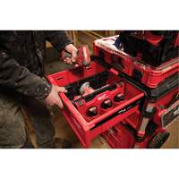 Divider for PACKOUT Drawer Tool Boxes Distribution Jean Lapalme