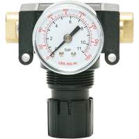 MODULAIR 200 Acetal Piston Regulator, 1/4" NPT, 150 PSI Max. PSI, In Line/Modular Distribution Jean Lapalme