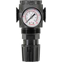 MODULAIR 300 Zinc Diaphragm Regulator, 3/8" NPT, 300 psi Max. PSI, In Line/Modular Distribution Jean Lapalme