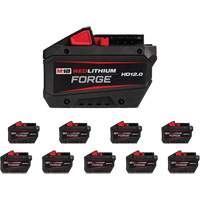 REDLITHIUM FORGE HD12.0 Battery, Lithium-Ion, 18 V, 12 Ah Distribution Jean Lapalme