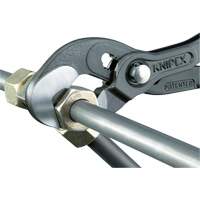Raptor Pliers, 10" Distribution Jean Lapalme