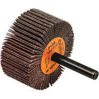 Flap Wheels-Coolcut Flap Wheels, Aluminum Oxide, 120 Grit, 2" x 1" x 1/4" Distribution Jean Lapalme