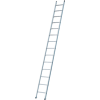 Industrial Heavy-Duty Extension/Straight Ladders, 8', Aluminum, 300 lbs., CSA Grade 1A Distribution Jean Lapalme