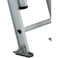 Industrial Heavy-Duty Extension Ladders (3200D Series), 300 lbs. Cap., 13' H, Grade 1A Distribution Jean Lapalme