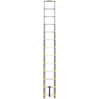 &eacute;chelle t&eacute;lescopique, 3' - 12', Aluminium, Capacit&eacute; de 250 lb, Type 1 Distribution Jean Lapalme