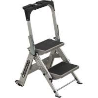 &eacute;chelle escabeau avec roues pivotantes, 2 marches, 23" x 21" x Hauteur 34,50" Distribution Jean Lapalme