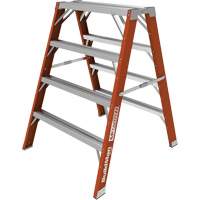 Buildman Step-up Workbench, 4' H x 36.25" W x 40.5" D, 300 lbs. Capacity, Fibreglass Distribution Jean Lapalme