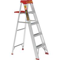 Step Ladder with Paint Tray, 5', Aluminum, 200 lbs. Capacity, Type 3 Distribution Jean Lapalme