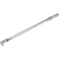 Cl&eacute; dynamom&eacute;trique microm&eacute;trique &agrave; t&ecirc;te fixe, &agrave; cliquer, Entraînement 1/2" carr&eacute;, 50-250 lb-pi Distribution Jean Lapalme