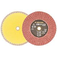 QUICK-STEP FLEX, 5" x Type 29, 40 Grit, Aluminum Oxide Distribution Jean Lapalme