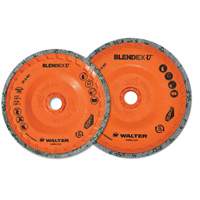 Blendex U Finishing Cup Disc, 4-1/2" Dia., Fine Grit, Silicon Carbide Distribution Jean Lapalme