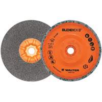 Blendex U Finishing Cup Disc, 5" Dia., Fine Grit, Silicon Carbide Distribution Jean Lapalme