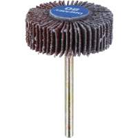 3/8" Flapwheel Sanding Bit - 80 Grit Distribution Jean Lapalme