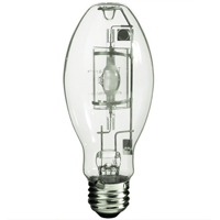 Work Light Bulb Distribution Jean Lapalme