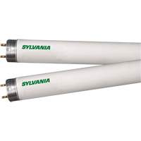 Lampes fluorescentes, 32 W, T8, 4100 K, Longueur de 48" Distribution Jean Lapalme