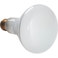 Economy Line Incandescent Lamps Distribution Jean Lapalme