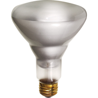 Economy Line Incandescent Lamps Distribution Jean Lapalme