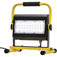 Flood Light, LED, 50 W, 4800 Lumens, Aluminum Housing Distribution Jean Lapalme