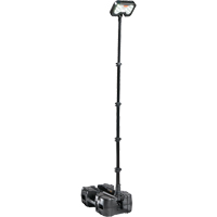 9490 Remote Area Lighting Systems, LED, 53.3 W, 6000 Lumens, Plastic Housing Distribution Jean Lapalme