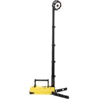 Lampes de sc&egrave;ne portables et rechargeables, DEL, 36 W, 5300 lumens, Boîtier en Plastique Distribution Jean Lapalme