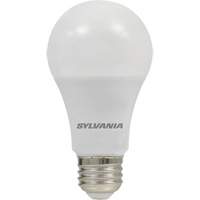 Bulbs