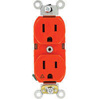 Extra Heavy-Duty Industrial Grade Duplex Outlet Distribution Jean Lapalme