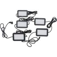 LED String Work Lights, 5 Lights, 50' L, Plastic Housing Distribution Jean Lapalme