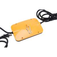 LED String Work Lights, 5 Lights, 50' L, Plastic Housing Distribution Jean Lapalme