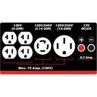 G&eacute;n&eacute;ratrice &agrave; essence/propane &agrave; d&eacute;marreur &eacute;lectrique Distribution Jean Lapalme