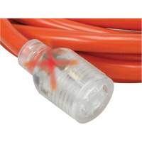 Rallonge pour g&eacute;n&eacute;ratrice &agrave; quatre prises, Ext&eacute;rieur, AWG 10, 30 A, 4 prise(s), 25' Distribution Jean Lapalme