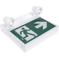 Enseigne d'homme qui court avec &eacute;clairage de s&eacute;curit&eacute;, DEL, &agrave; piles/&agrave; raccordement fixe, 12-1/10" lo x 11" la, Pictogramme Distribution Jean Lapalme