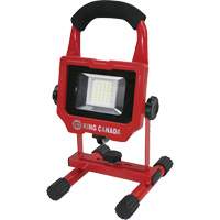 Baladeuse, DEL, 15 W, 1500 lumens, Boîtier en Aluminium Distribution Jean Lapalme