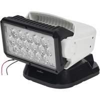Projecteur orientable polyvalent &agrave; t&eacute;l&eacute;commande, DEL, 4250 lumens Distribution Jean Lapalme
