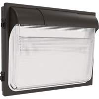 TWX3 Wall Luminaire, LED, 347 V, 14" H x 18" W x 5" D Distribution Jean Lapalme