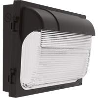 TWX Wall Luminaire, LED, 480 V, 9 W - 54 W, 14" H x 18" W x 5" D Distribution Jean Lapalme